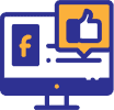fb3 1