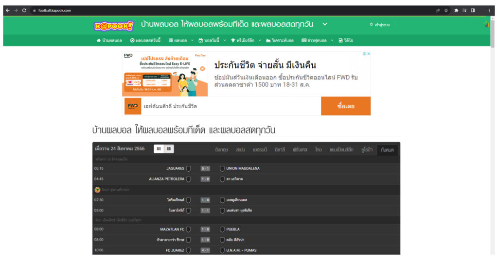 ภาพตัวอย่าง Subdomain ของเว็บไซต์ Kapook
