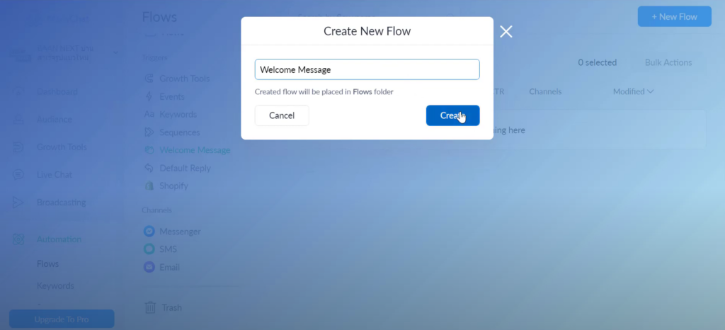 New Flow Manychat 