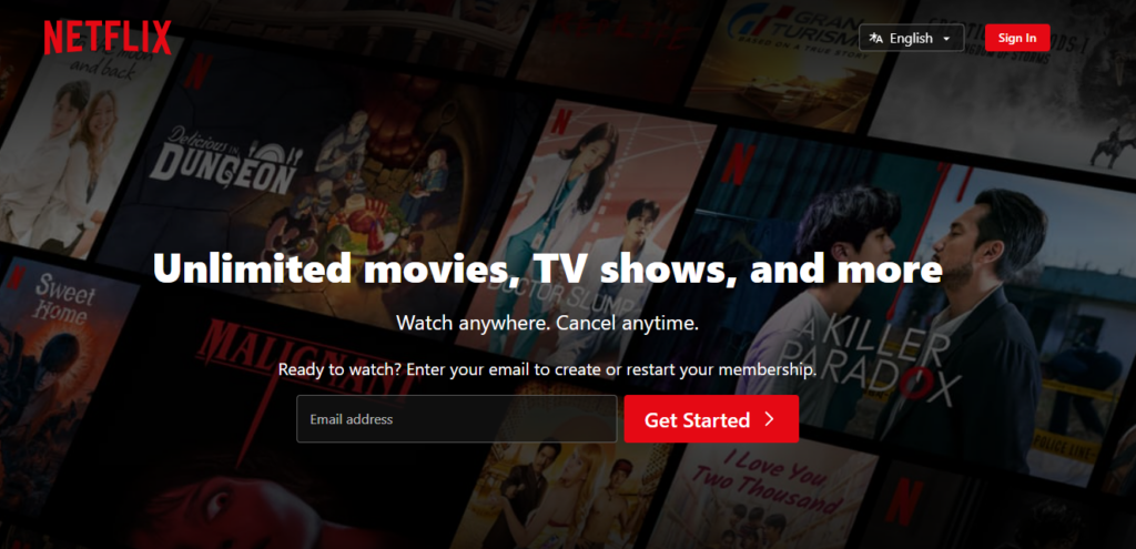 Landing Page's Netflix